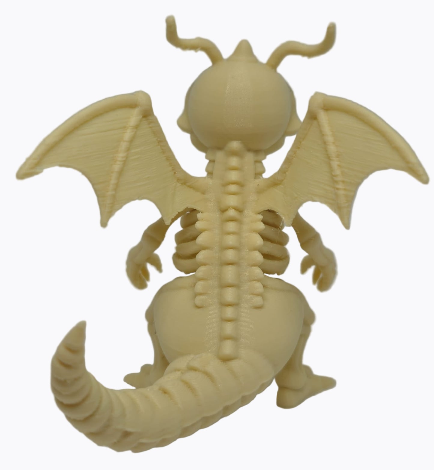 Pokémon Dragonite Esqueleto