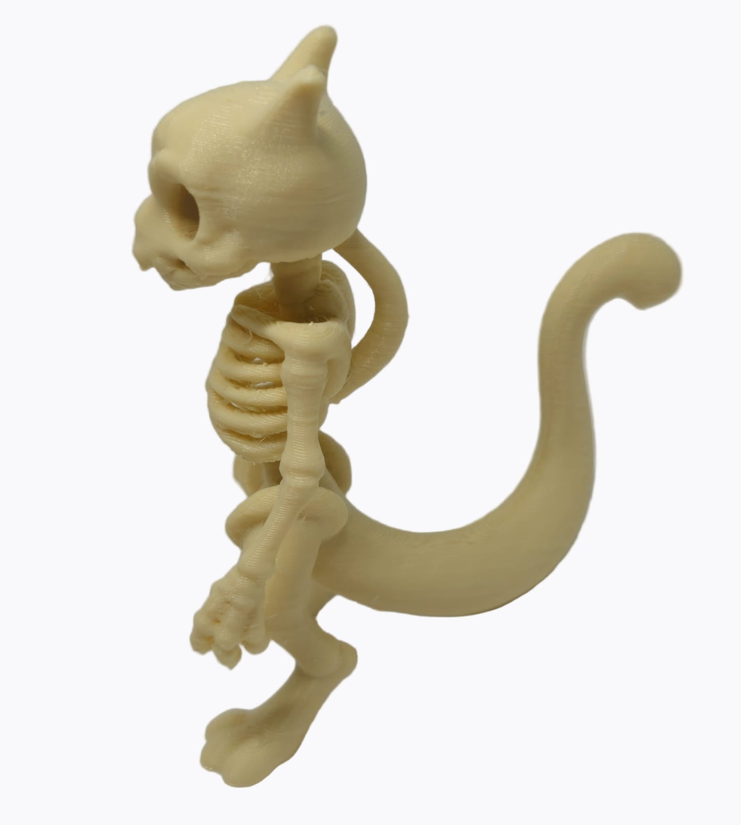Pokémon Mewtwo Esqueleto