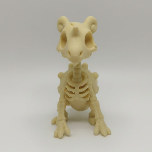 Pokémon Lapras Esqueleto