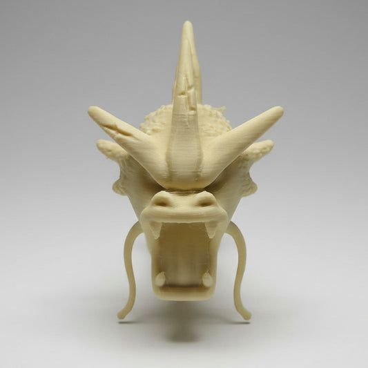 Pokémon Gyarados Esqueleto