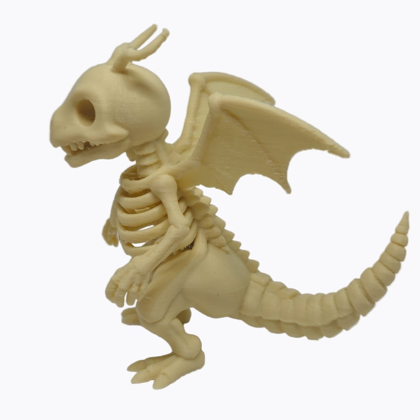 Pokémon Dragonite Esqueleto