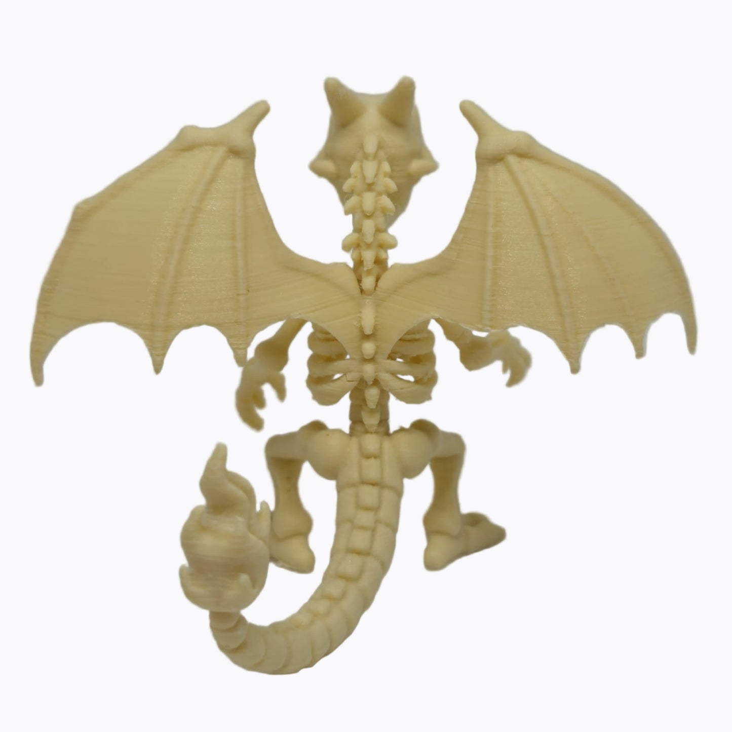 Pokémon Charizard Esqueleto