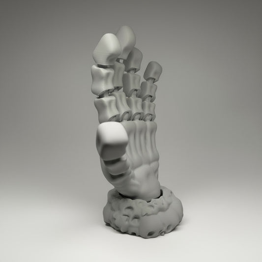 Mão Esqueleto Articulada